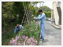 Plant beautification initiative