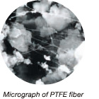 Micrograph of PTFE fiber