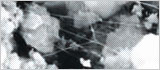 Super Solid Ace (Teflon™ Treated Dusting-inhibiting Soil Cement)
