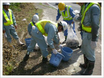 Street clean-up initiative