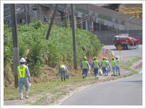 Street clean-up initiative